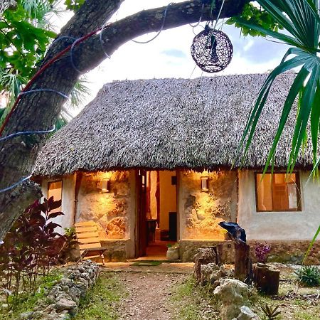 Encantadora Villa Maya Tradicional En Rancho Agroecologico Tzucaceb المظهر الخارجي الصورة