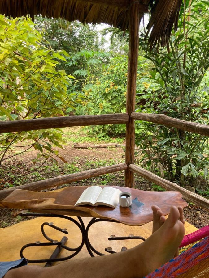 Encantadora Villa Maya Tradicional En Rancho Agroecologico Tzucaceb المظهر الخارجي الصورة