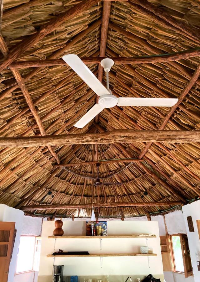 Encantadora Villa Maya Tradicional En Rancho Agroecologico Tzucaceb المظهر الخارجي الصورة