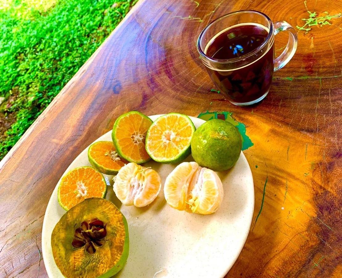 Encantadora Villa Maya Tradicional En Rancho Agroecologico Tzucaceb المظهر الخارجي الصورة