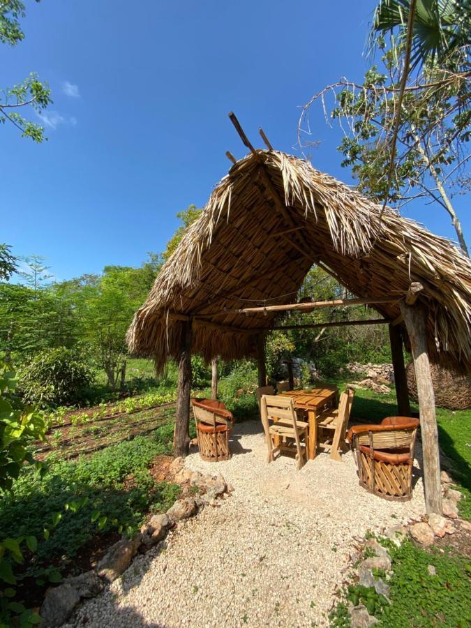 Encantadora Villa Maya Tradicional En Rancho Agroecologico Tzucaceb المظهر الخارجي الصورة