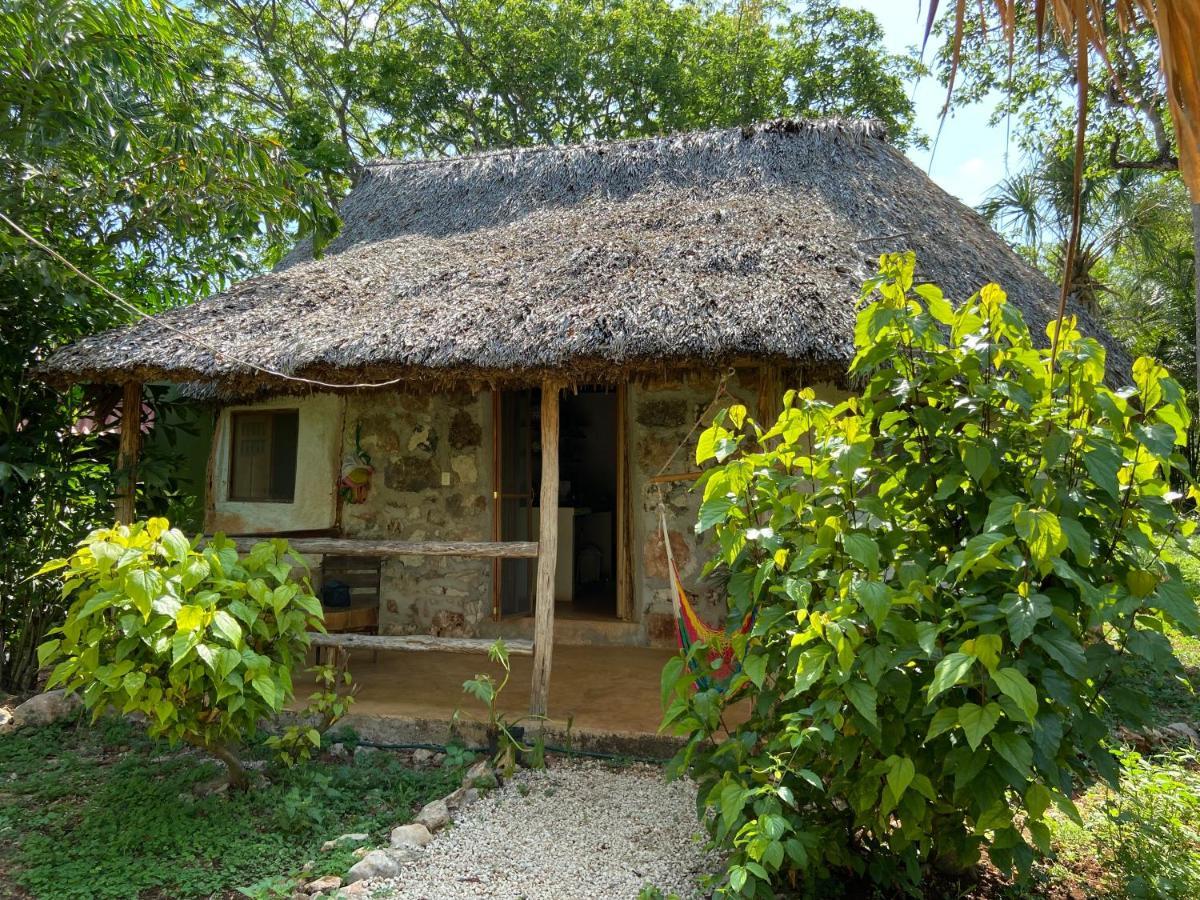 Encantadora Villa Maya Tradicional En Rancho Agroecologico Tzucaceb المظهر الخارجي الصورة
