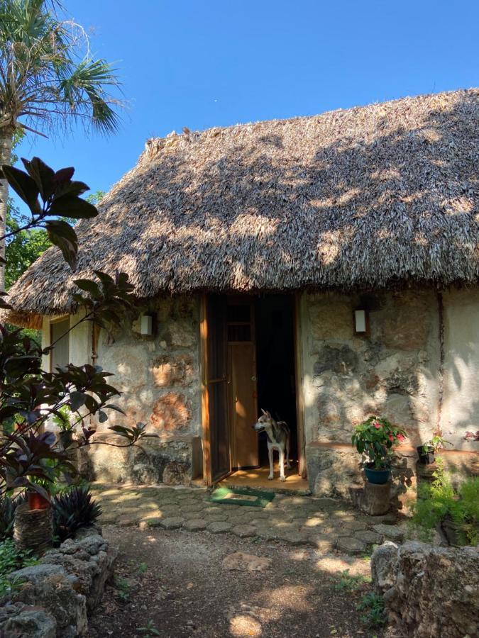 Encantadora Villa Maya Tradicional En Rancho Agroecologico Tzucaceb المظهر الخارجي الصورة