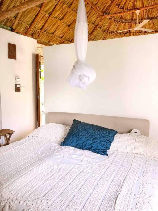 Encantadora Villa Maya Tradicional En Rancho Agroecologico Tzucaceb المظهر الخارجي الصورة