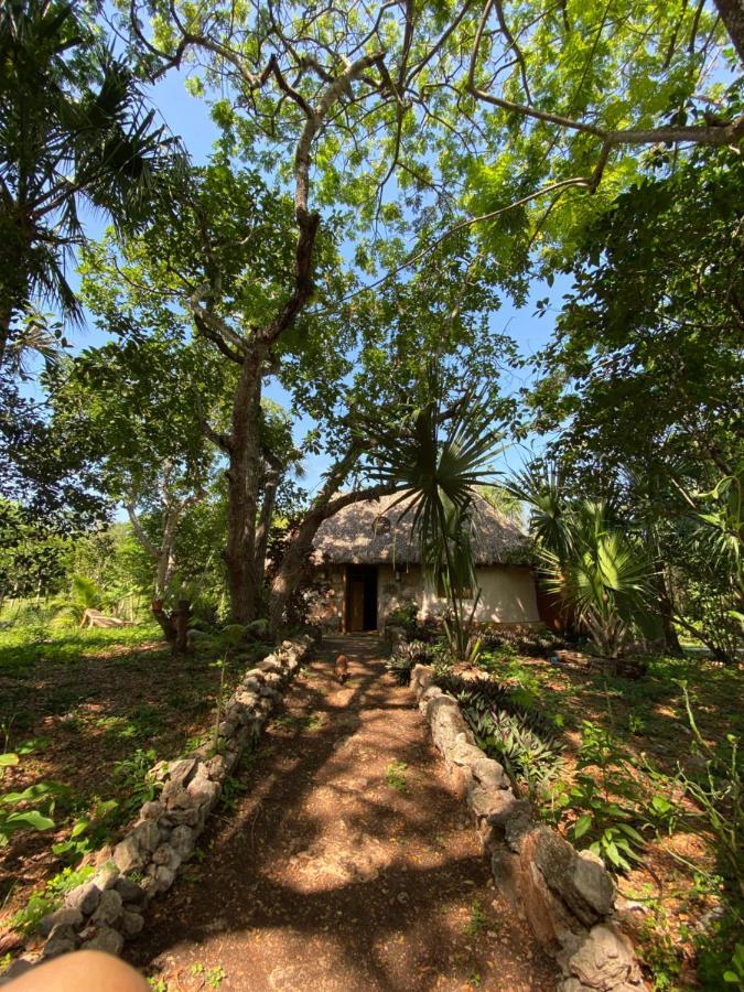 Encantadora Villa Maya Tradicional En Rancho Agroecologico Tzucaceb المظهر الخارجي الصورة