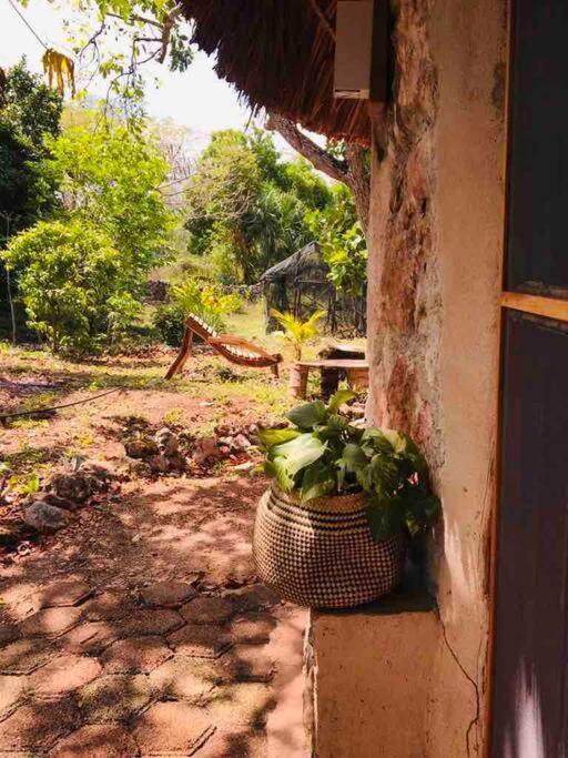 Encantadora Villa Maya Tradicional En Rancho Agroecologico Tzucaceb المظهر الخارجي الصورة
