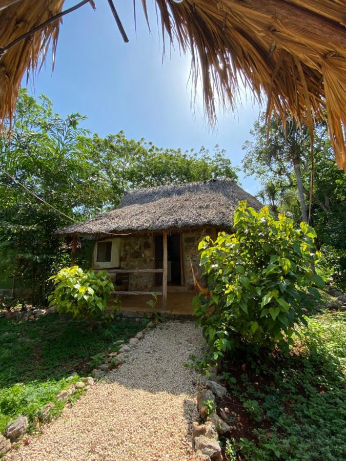 Encantadora Villa Maya Tradicional En Rancho Agroecologico Tzucaceb المظهر الخارجي الصورة