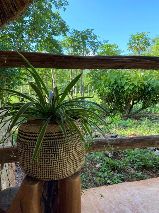 Encantadora Villa Maya Tradicional En Rancho Agroecologico Tzucaceb المظهر الخارجي الصورة