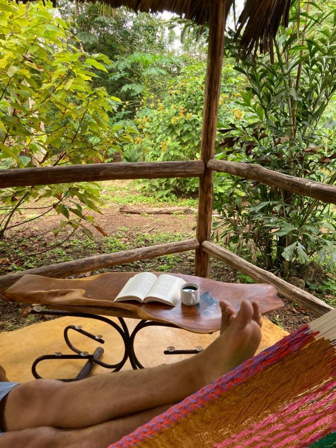 Encantadora Villa Maya Tradicional En Rancho Agroecologico Tzucaceb المظهر الخارجي الصورة