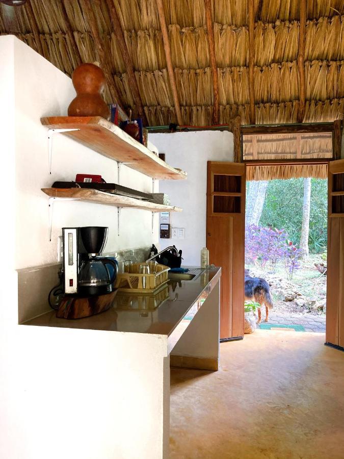 Encantadora Villa Maya Tradicional En Rancho Agroecologico Tzucaceb المظهر الخارجي الصورة
