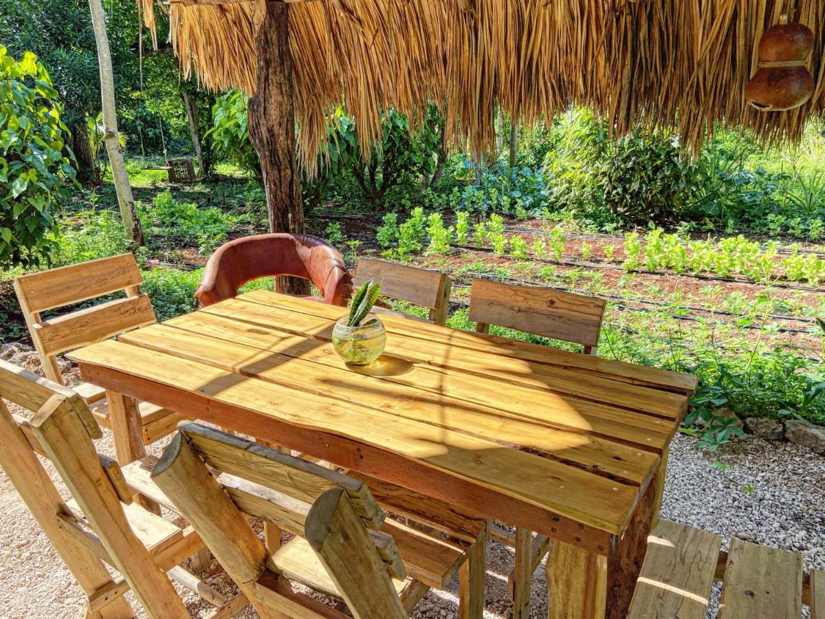 Encantadora Villa Maya Tradicional En Rancho Agroecologico Tzucaceb المظهر الخارجي الصورة