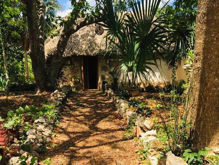 Encantadora Villa Maya Tradicional En Rancho Agroecologico Tzucaceb المظهر الخارجي الصورة