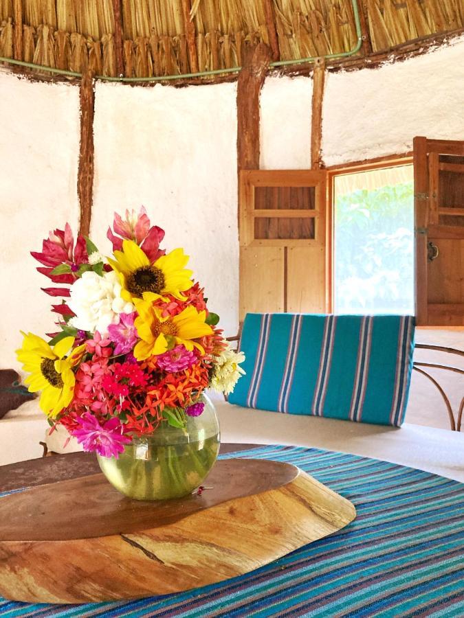 Encantadora Villa Maya Tradicional En Rancho Agroecologico Tzucaceb المظهر الخارجي الصورة
