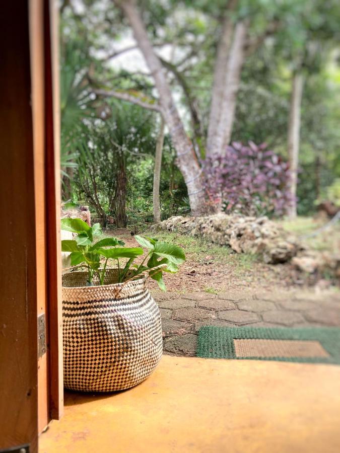 Encantadora Villa Maya Tradicional En Rancho Agroecologico Tzucaceb المظهر الخارجي الصورة
