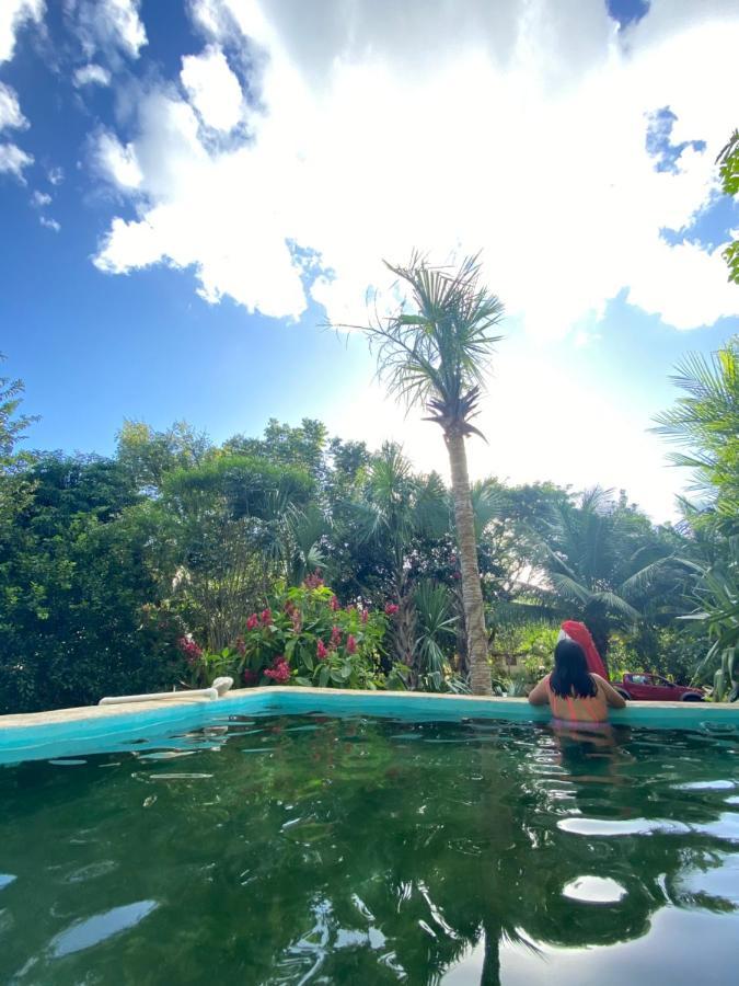 Encantadora Villa Maya Tradicional En Rancho Agroecologico Tzucaceb المظهر الخارجي الصورة